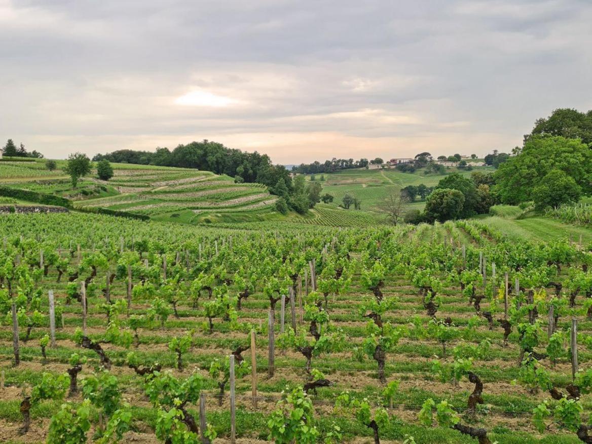 Maison Cosy Avec Vue Sur Les Vignes. ليبورن المظهر الخارجي الصورة