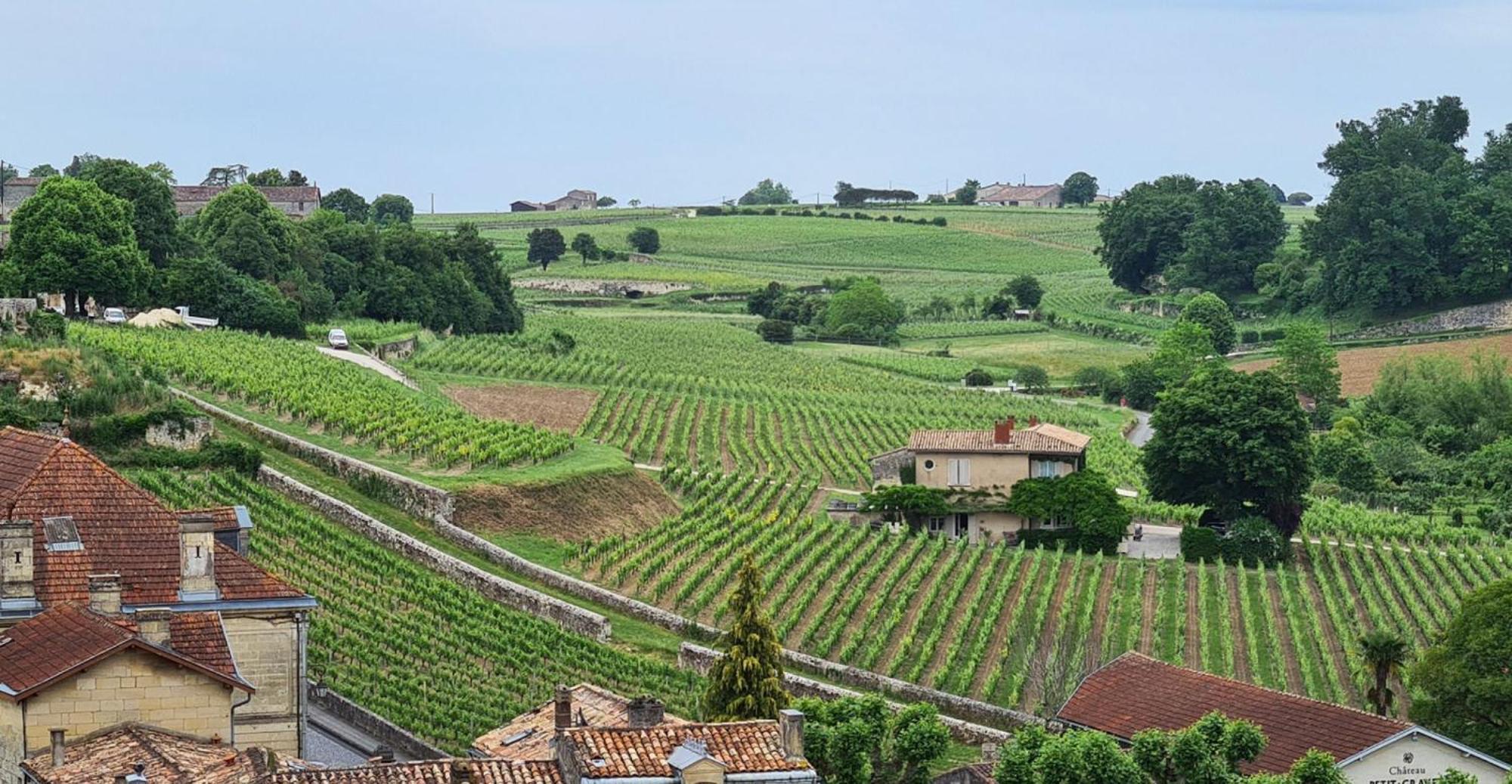 Maison Cosy Avec Vue Sur Les Vignes. ليبورن المظهر الخارجي الصورة